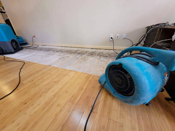 Professional Water Removal technician working in Webster, TX